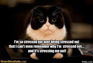 stressed out over being stressed out