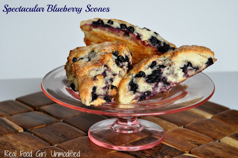Spectacular Blueberry Scones by Real Food Girl: Unmodified