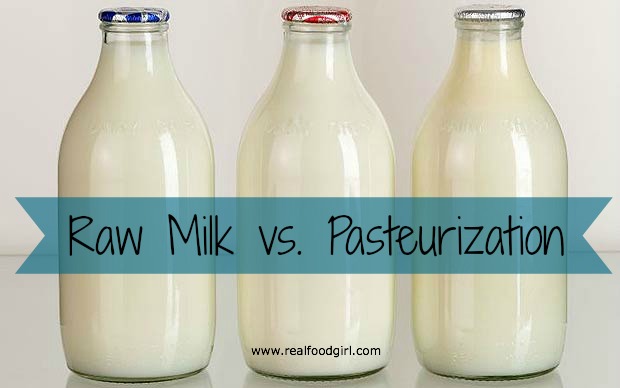 Raw milk vs. pasteurization by Real Food Girl Unmodified