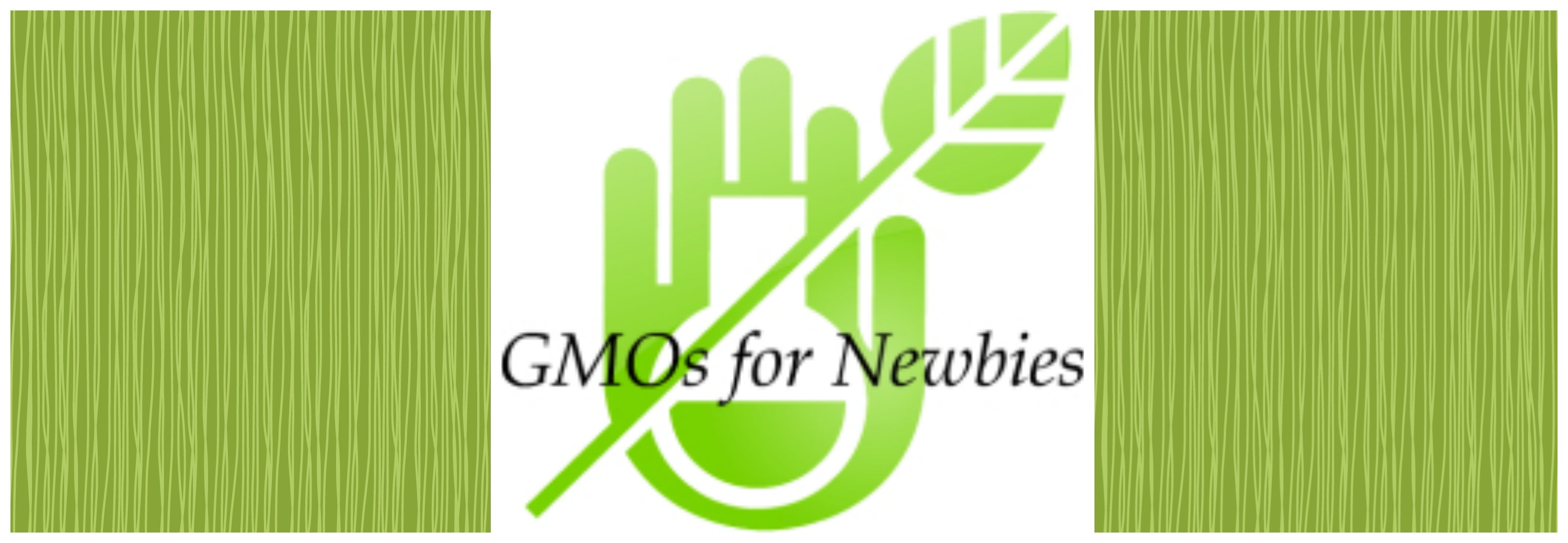 Real Food Girl does GMOs for Newbies